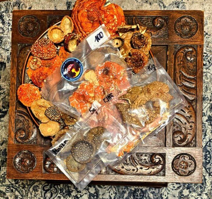 MEGA🍄SUPER👑ANGEBOT🔥<br>PREMIUM Roter Fliegenpilz 100g.<br>+PREMIUM Königs-Fliegenpilz 🍄 10g.<br>+PREMIUM Panther-Fliegenpilz 🍄 5g.